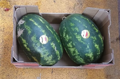 Foto Angurie Varietà Crimson Confezione Da 2 Frutti Origine Marocco Marchio Sattin  3