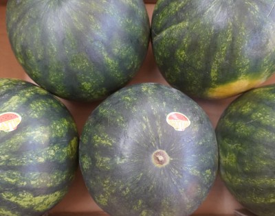 Foto Mini Angurie Varietà Coco Baby Calibro 5 Origine Italia Marchio Sattin  2