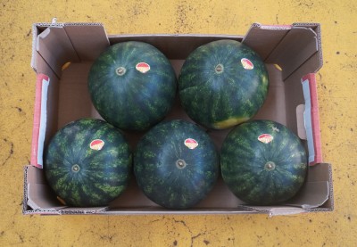 Foto Mini Angurie Varietà Coco Baby Calibro 5 Origine Italia Marchio Sattin  3