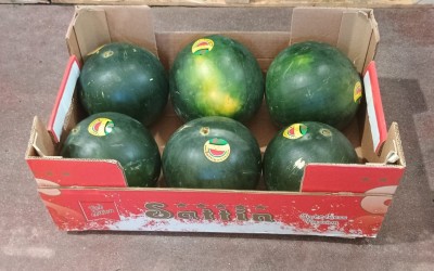Foto Mini Angurie Senza Semi Calibro 6 Origine Italia Marchio Sattin  1