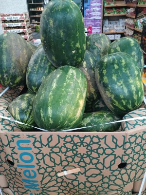 Foto Bins di Angurie Vendibili anche Singolarmente Origine Spagna Marchio Fruits Urpinas 2