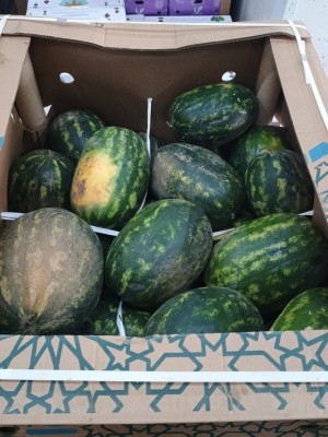 Foto Bins di Angurie Vendibili anche Singolarmente Origine Spagna Marchio Fruits Urpinas 3