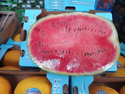 Foto Bins di Angurie Vendibili anche Singolarmente Origine Spagna Marchio Fruits Urpinas 4