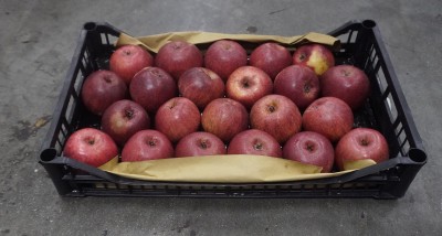 Foto Mele Varietà Annurche Calibro 22 Origine Italia Marchio Granata Marco  1