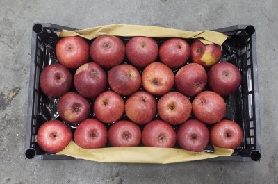 Foto Mele Varietà Annurche Calibro 22 Origine Italia Marchio Granata Marco  3