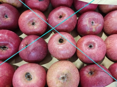 Foto Mele Annurche Calibro 60/65 Origine Italia Marchio Pirozzi         2