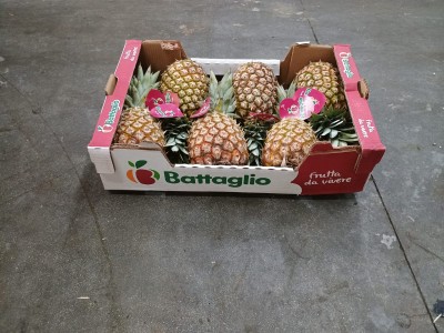 Foto Ananas Calibro 6 Origine Costa Rica Marchio Battaglio  1