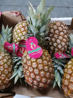 Foto Ananas Calibro 6 Origine Costa Rica Marchio Battaglio  2