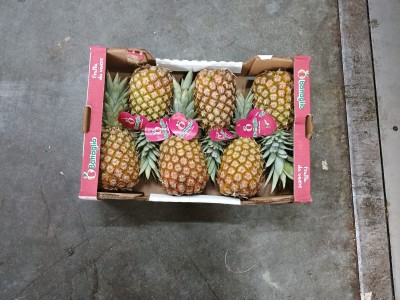Foto Ananas Calibro 6 Origine Costa Rica Marchio Battaglio  3