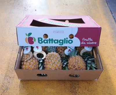 Foto Ananas Varietà Gold Pines Calibro 6 Origine Costa Rica Marchio Battaglio  1