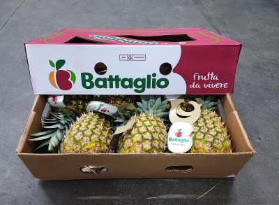Foto Ananas Calibro 6 Origine Costarica Marchio Battaglio 1