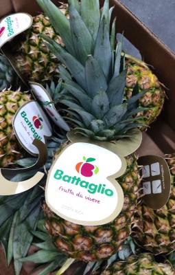Foto Ananas Calibro 6 Origine Costarica Marchio Battaglio 2