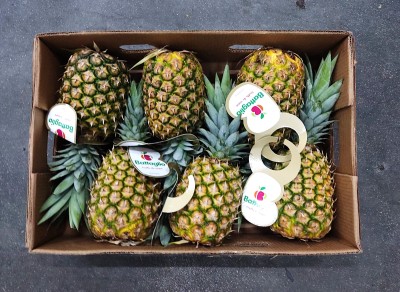 Foto Ananas Calibro 6 Origine Costarica Marchio Battaglio 3