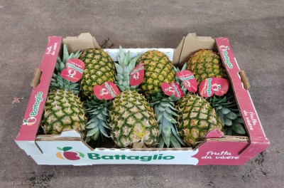 Foto Ananas Calibro 6 Origine Costa Rica Marchio Battaglio  1