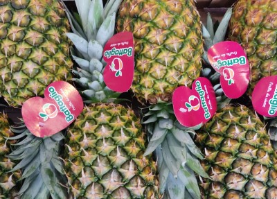 Foto Ananas Calibro 6 Origine Costa Rica Marchio Battaglio  2