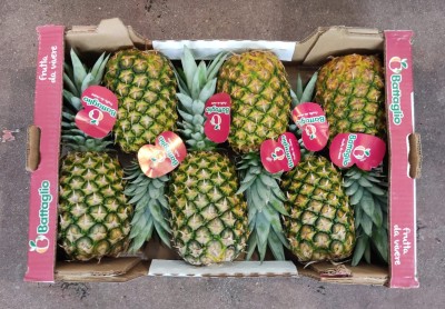 Foto Ananas Calibro 6 Origine Costa Rica Marchio Battaglio  3