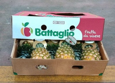 Foto Ananas  Calibro 6 Origine Costa Rica Marchio Battaglio 1