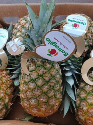Foto Ananas  Calibro 6 Origine Costa Rica Marchio Battaglio 2