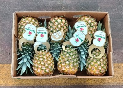 Foto Ananas  Calibro 6 Origine Costa Rica Marchio Battaglio 3