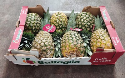 Foto Ananas Calibro 6 Origine Costa Rica  Marchio Battaglio  1