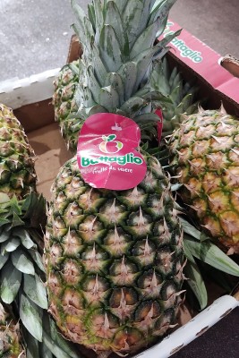 Foto Ananas Calibro 6 Origine Costa Rica  Marchio Battaglio  2