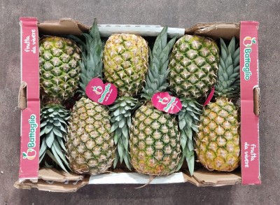 Foto Ananas Calibro 6 Origine Costa Rica  Marchio Battaglio  3