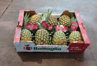 Foto Ananas Confezione da 7 Frutti Origine Costa Rica Marchio Battaglio 1