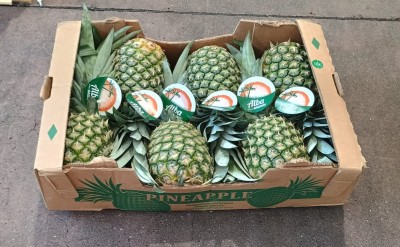 Foto Ananas Calibro 6 Origine Costa Rica Marchio Alba 1