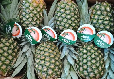 Foto Ananas Calibro 6 Origine Costa Rica Marchio Alba 2