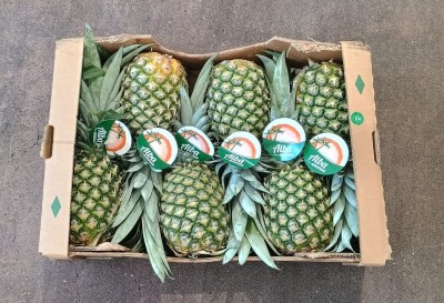 Foto Ananas Calibro 6 Origine Costa Rica Marchio Alba 3