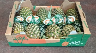 Foto Ananas Calibro 8 Origine Costa Rica Marchio Alba     1