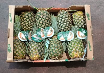 Foto Ananas Calibro 8 Origine Costa Rica Marchio Alba     3