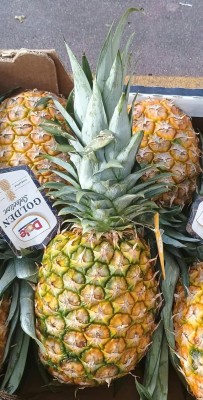 Foto Ananas Calibro 7 Origine Costa Rica Marchio Dole 2