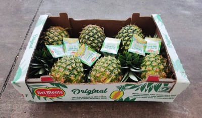 Foto Ananas Marchio del Monte Original Origine Costa Rica Confezione da 6 Frutti 1