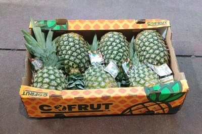Foto Ananas Calibro 6 Origine Costa Rica Marchio Cofruit 1