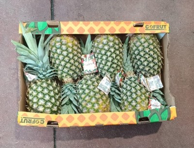Foto Ananas CAlibro 6 Origine Costa Rica Marchio Cofruit 3