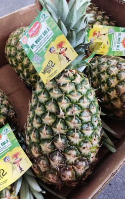 Foto Ananas Calibro 6 Origine Costa Rica  Marchio Pineapple   2