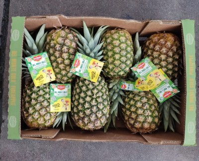 Foto Ananas Calibro 6 Origine Costa Rica  Marchio Pineapple   3