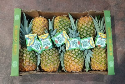 Foto Ananas Calibro 7 Origine Costarica Marchio Del Monte        3