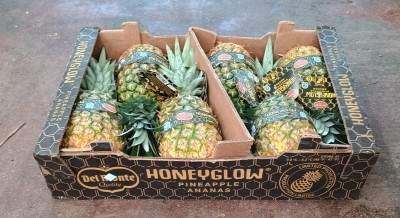 Foto Ananas  Varietà Honey Glow Calibro 6 Origine Costa Rica Marchio Honey  1