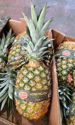 Foto Ananas  Varietà Honey Glow Calibro 6 Origine Costa Rica Marchio Honey  2