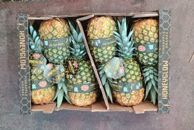 Foto Ananas  Varietà Honey Glow Calibro 6 Origine Costa Rica Marchio Honey  3