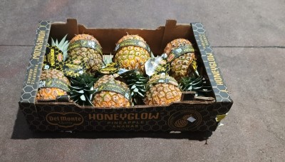 Foto Ananas  Varietà Honey Glow Calibro 6 Origine Costa Rica Marchio Honey Glow  1