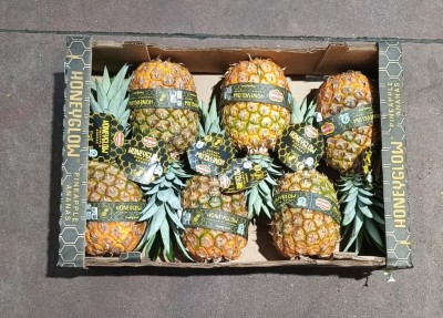 Foto Ananas  Varietà Honey Glow Calibro 6 Origine Costa Rica Marchio Honey Glow  3