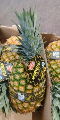 Foto Ananas Calibro 6 Origine Costa Rica Marchio Honey Glow 2