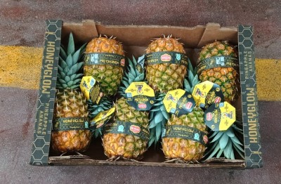 Foto Ananas Calibro 6 Origine Costa Rica Marchio Honey Glow 3