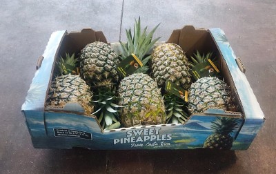 Foto Ananas Calibro 5 Origine Costa Rica Marchio Sweet 1