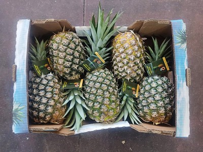 Foto Ananas Calibro 5 Origine Costa Rica Marchio Sweet 2