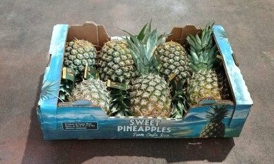 Foto Ananas Calibro 6 Origine Costa Rica Marchio Sweet 1