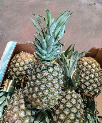 Foto Ananas Calibro 6 Origine Costa Rica Marchio Sweet 2